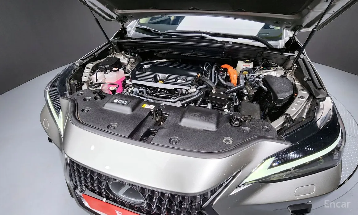 Фото 6 - Lexus NX