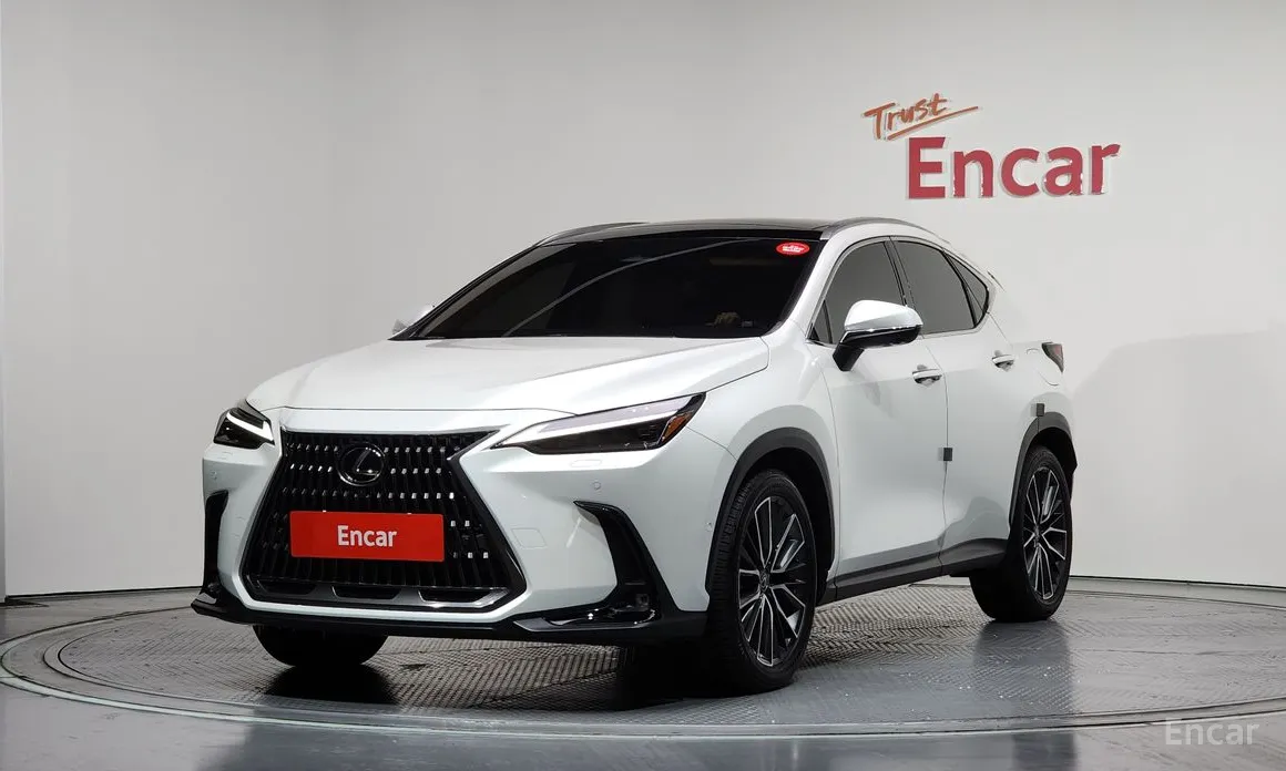 Фото 1 - Lexus NX
