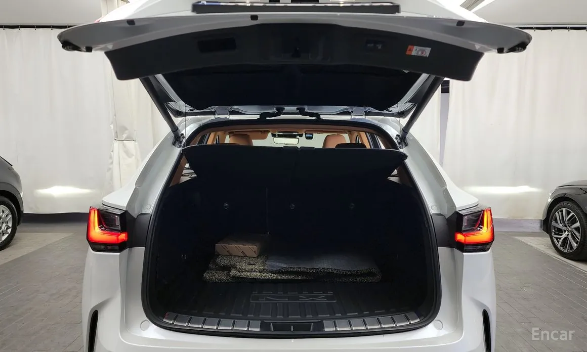 Фото 20 - Lexus NX