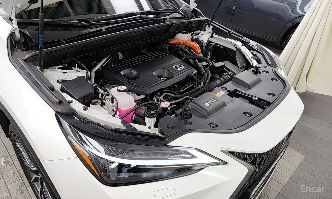 Фото 6 - Lexus NX