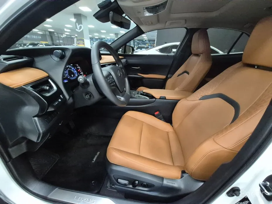 Фото 10 - Lexus UX