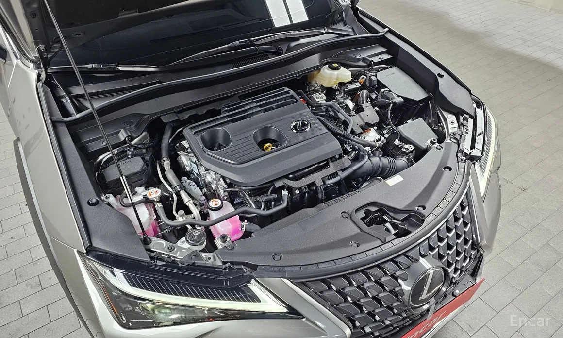 Фото 6 - Lexus UX