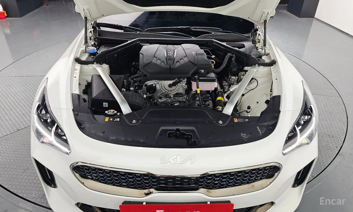 Фото 6 - Kia Stinger