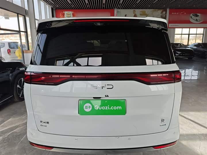 Фото 6 - BYD Xia