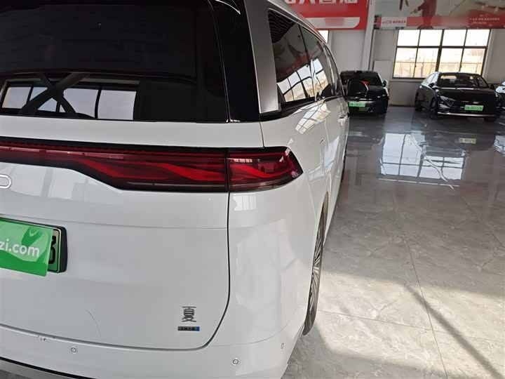 Фото 8 - BYD Xia