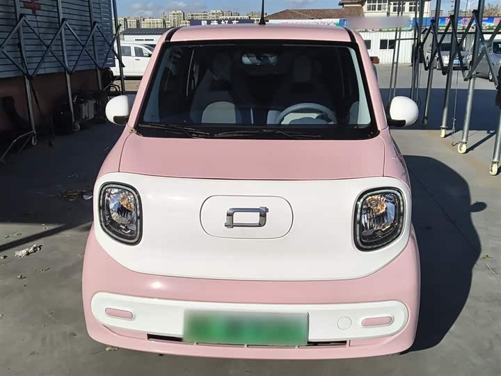 Фото 3 - Bestune Pony