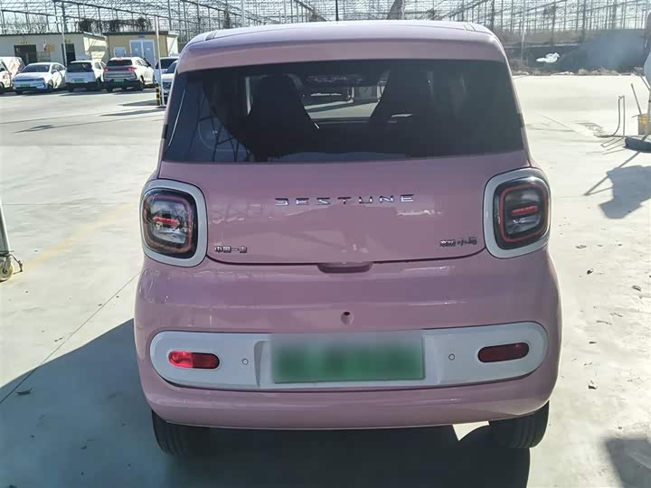 Фото 6 - Bestune Pony