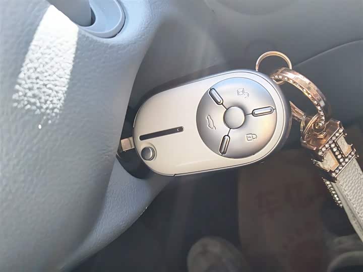 Фото 9 - Bestune Pony