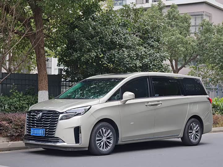 Фото 1 - Buick GL8 ES