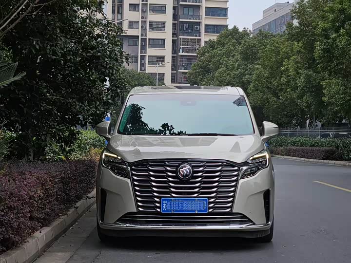 Фото 2 - Buick GL8 ES