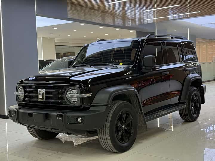 Фото 1 - Tank 300