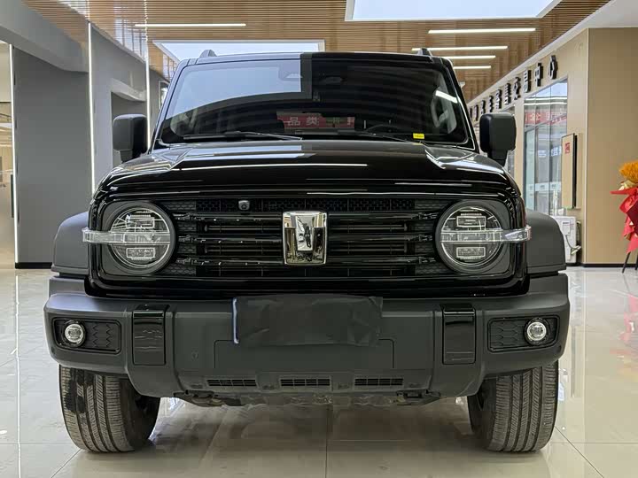 Фото 2 - Tank 300