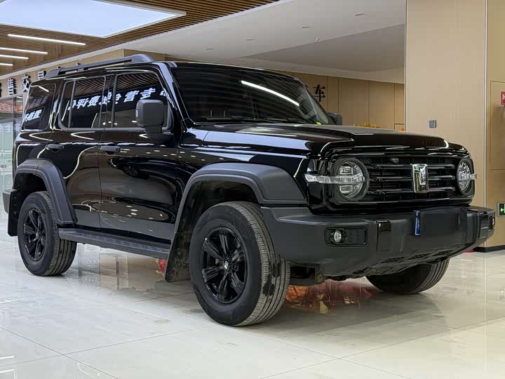 Фото 3 - Tank 300