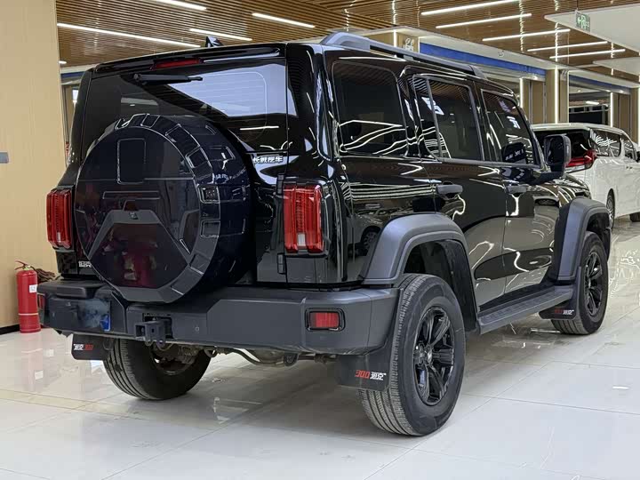 Фото 4 - Tank 300