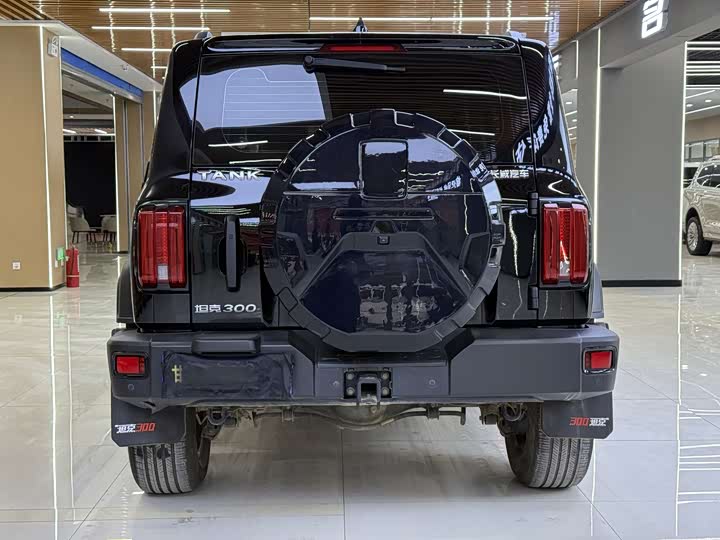 Фото 5 - Tank 300