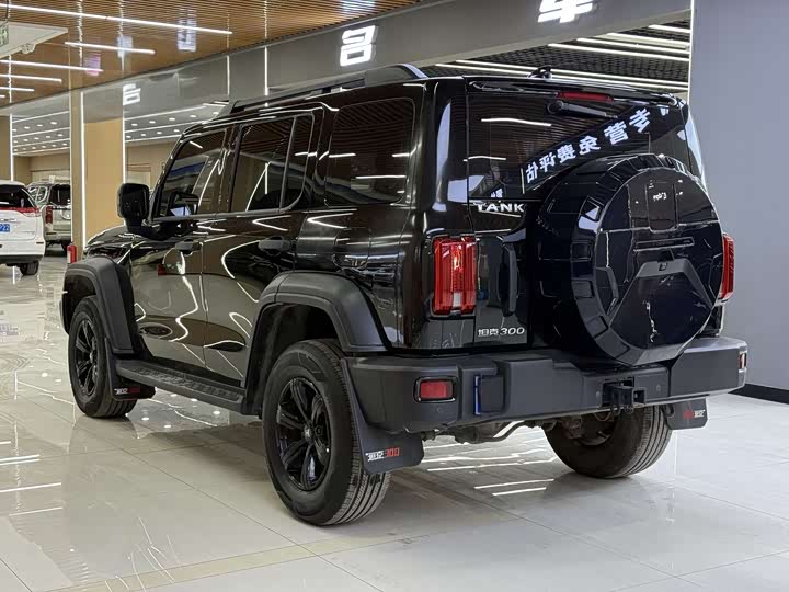 Фото 6 - Tank 300