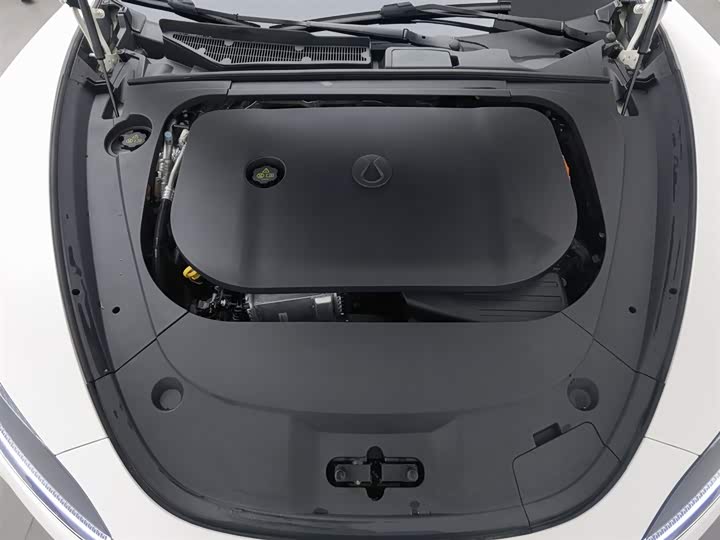 Фото 6 - Denza Z9