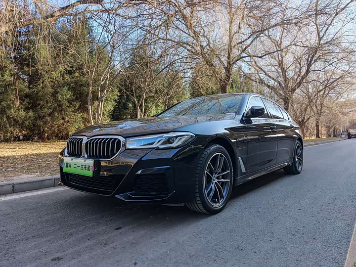 Фото 1 - BMW 5 Series Hybrid