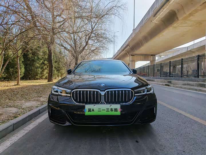 Фото 2 - BMW 5 Series Hybrid