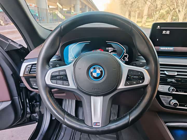 Фото 8 - BMW 5 Series Hybrid
