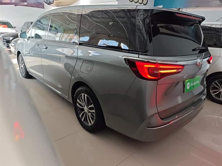 Фото 5 - Buick GL8 ES