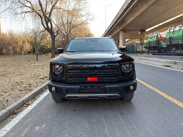 Фото 1 - Haval Dargo