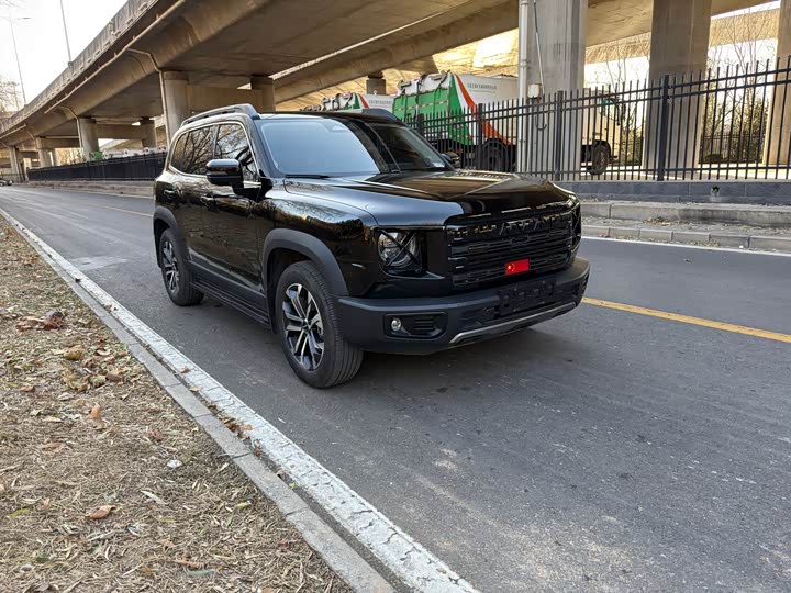 Фото 2 - Haval Dargo