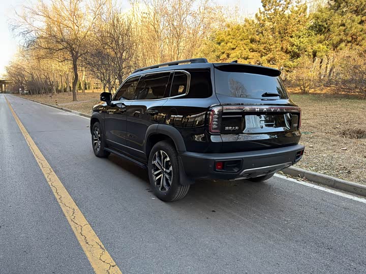 Фото 4 - Haval Dargo