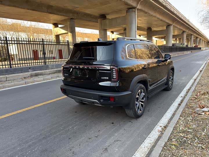 Фото 5 - Haval Dargo