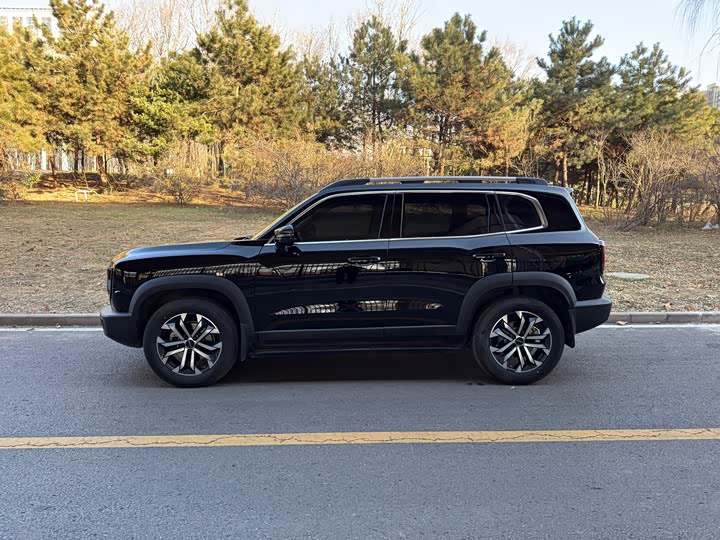 Фото 6 - Haval Dargo