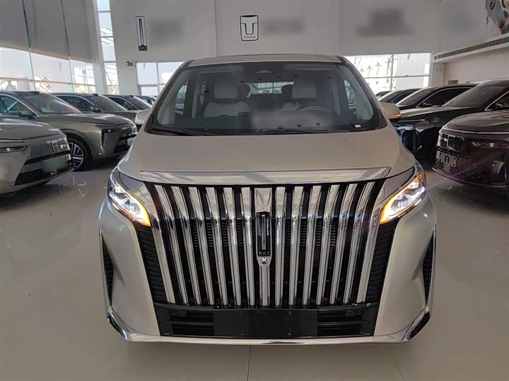 Фото 3 - Wey Gaoshan