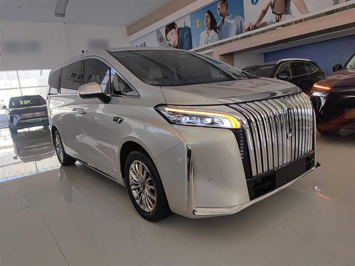 Фото 4 - Wey Gaoshan