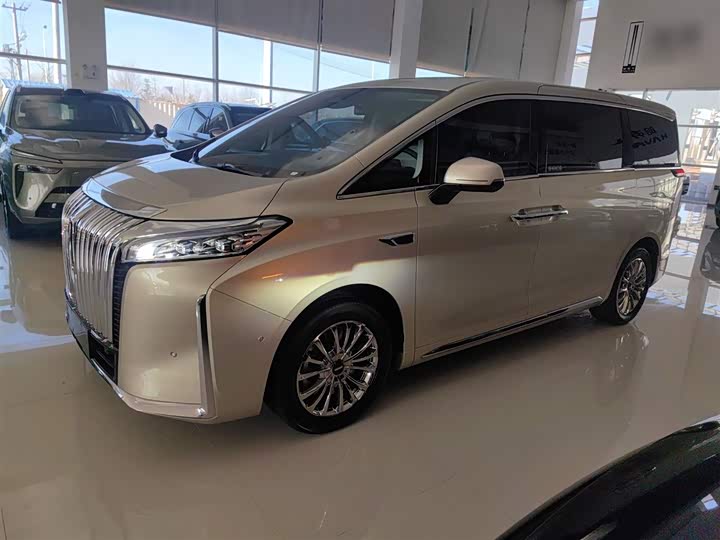 Фото 5 - Wey Gaoshan