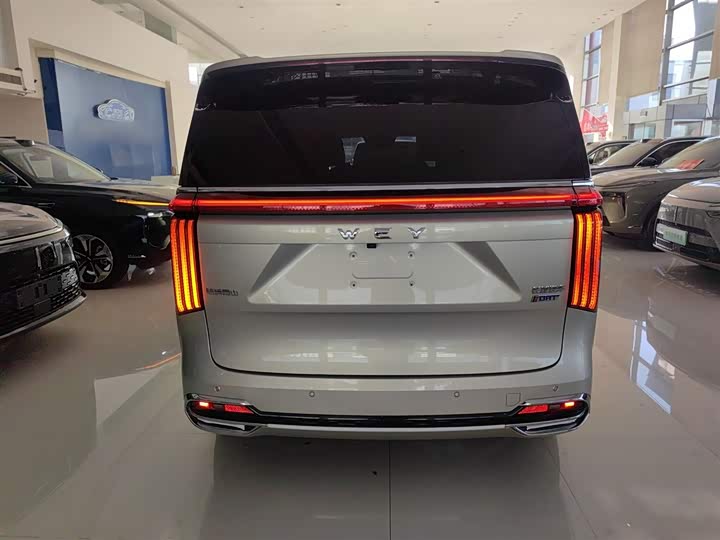 Фото 6 - Wey Gaoshan