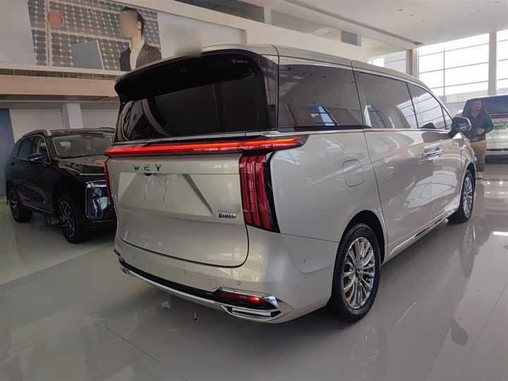 Фото 7 - Wey Gaoshan