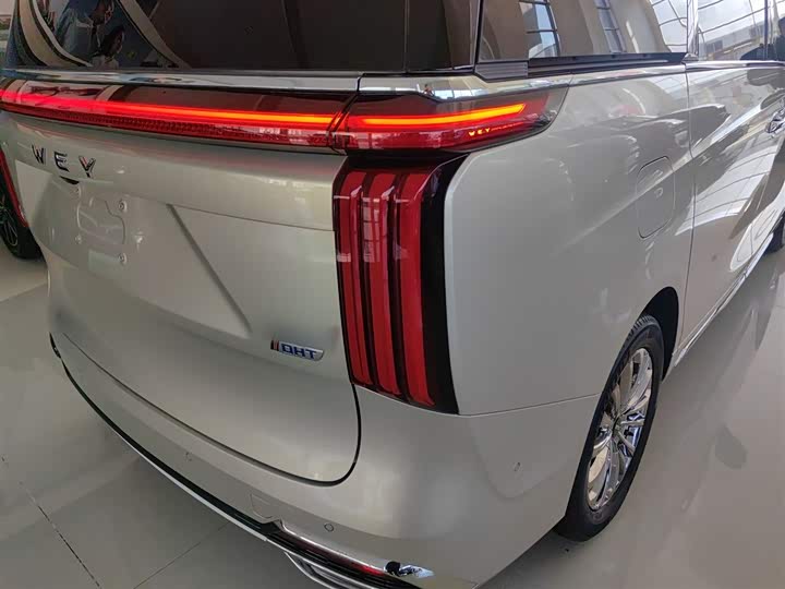 Фото 8 - Wey Gaoshan