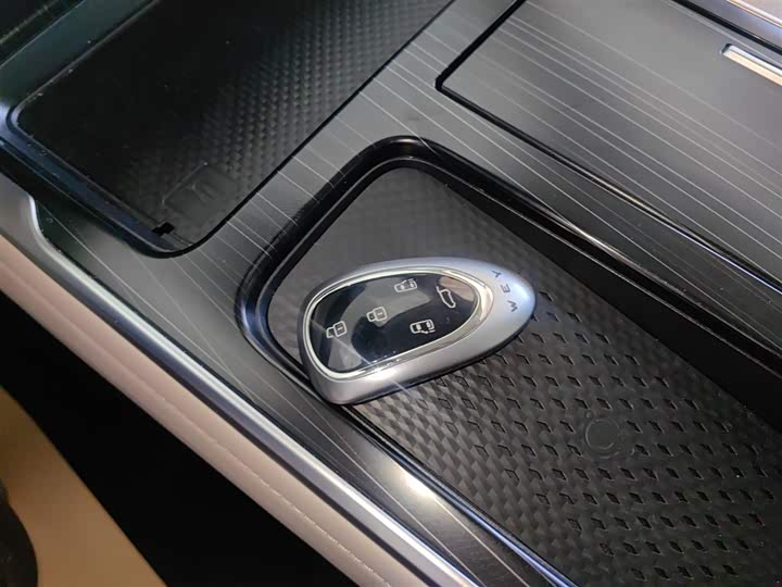 Фото 9 - Wey Gaoshan