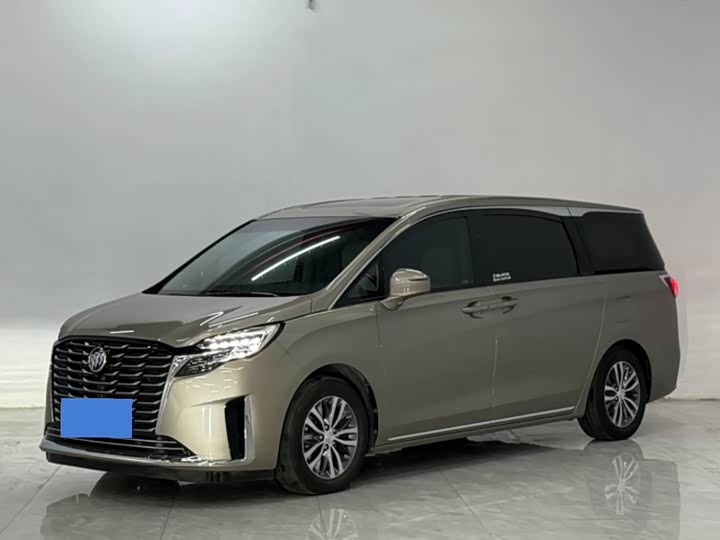 Фото 1 - Buick GL8 ES