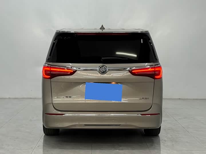 Фото 5 - Buick GL8 ES