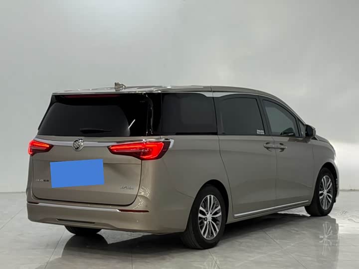 Фото 7 - Buick GL8 ES