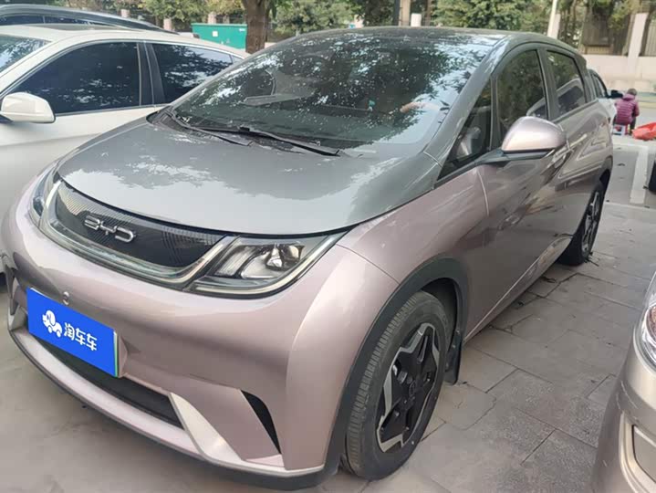 Фото 1 - BYD Dolphin