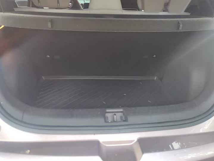 Фото 4 - BYD Dolphin