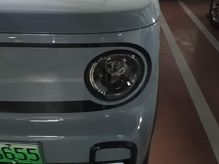Фото 5 - Geely Galaxy Panda Mini