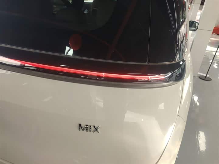 Фото 8 - Zeekr Mix