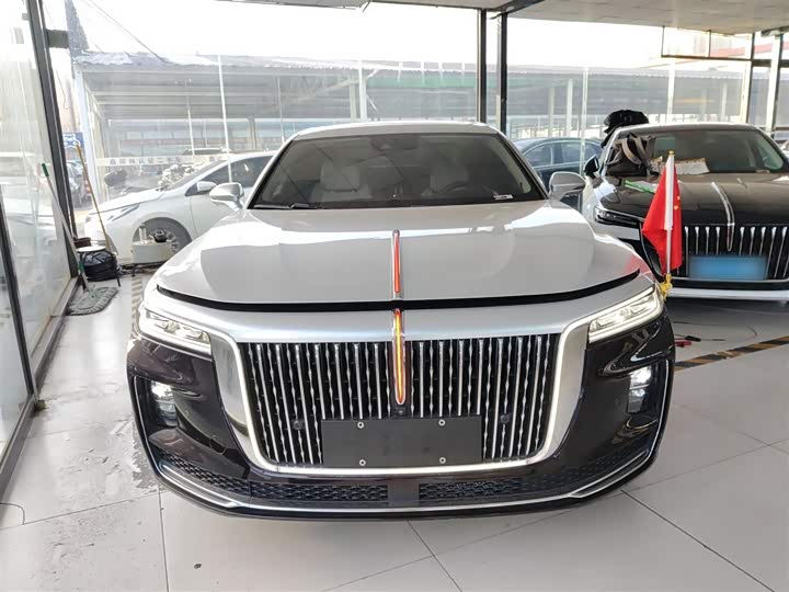 Фото 3 - Hongqi H9
