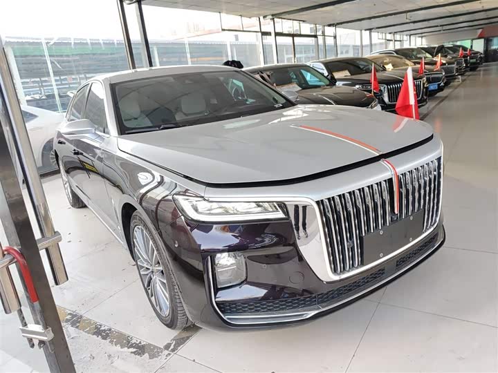 Фото 4 - Hongqi H9