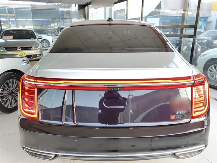 Фото 6 - Hongqi H9