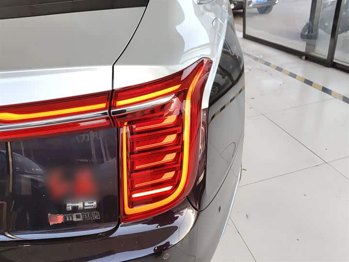 Фото 8 - Hongqi H9