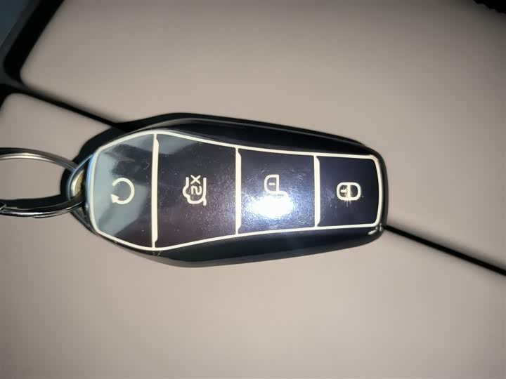 Фото 9 - BYD Tang Hybrid/EV