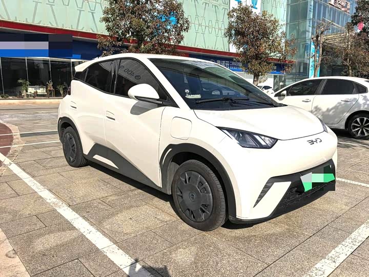 Фото 2 - BYD Seagull